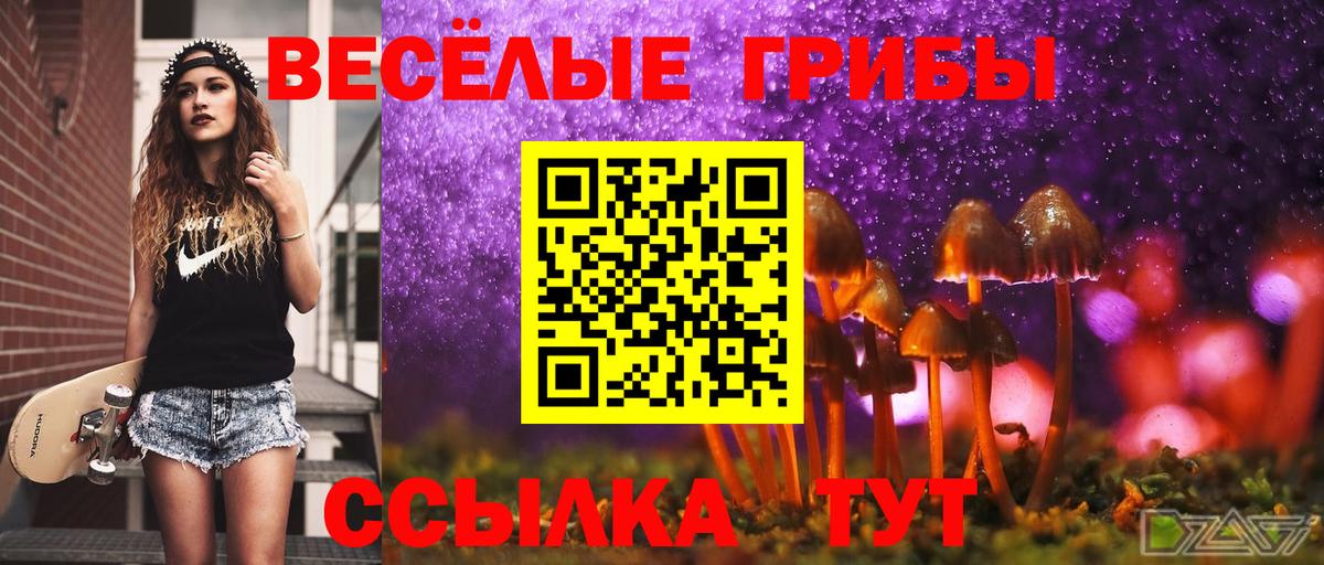 Псилоцибиновые грибы мицелий  Псилоцибиновые грибы прущие грибы  Вход с VPN  Канаш 